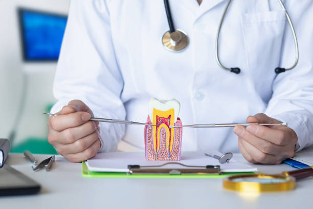 Best Pediatric Emergency Dentist in University Of Virginia, VA